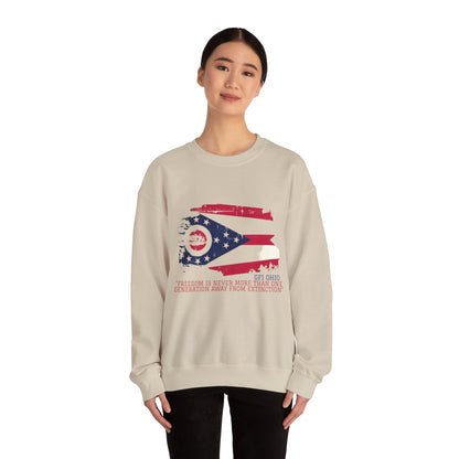 Ohio Flag Hoodie